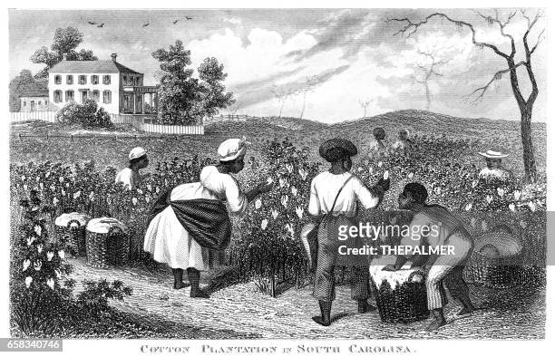 stockillustraties, clipart, cartoons en iconen met katoen plantage usa gravure van 1873 - het zuiden van de verenigde staten
