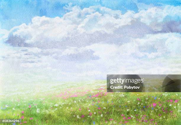 summer meadow, watercolor painting - meadow stock illustrations