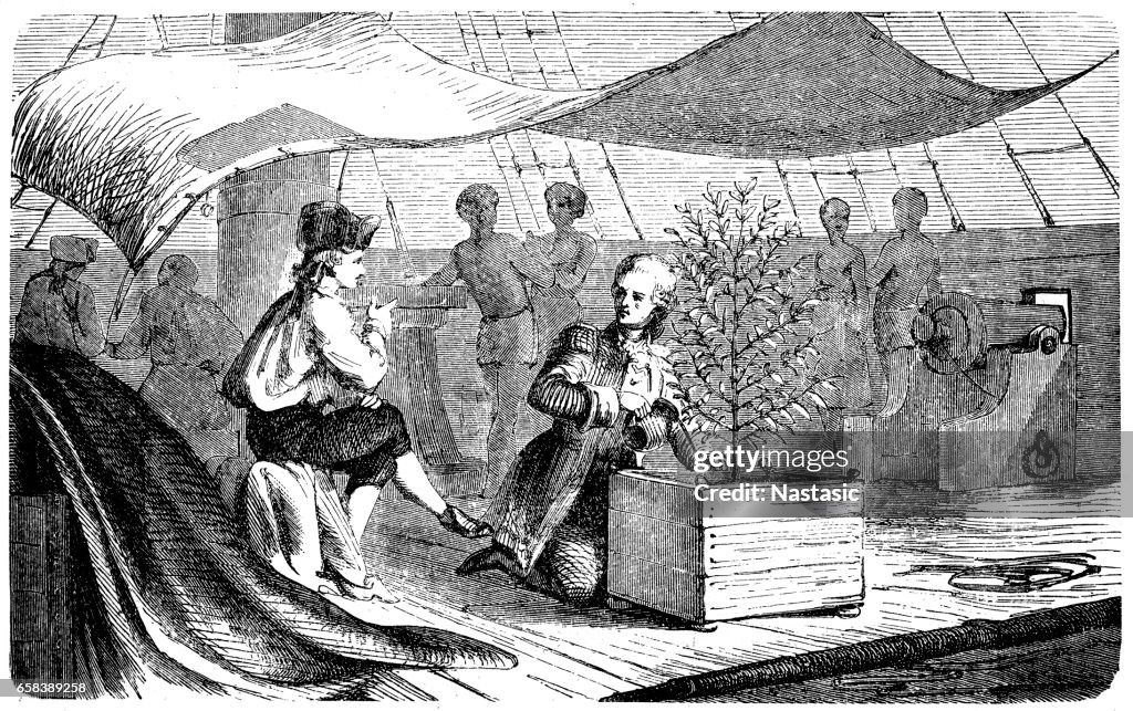 De Clie on voyages to Martinique with coffee plants