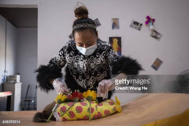 The Mortician pay one's last respects to the remains of dog Xiaoxiao who died at the age of 6 months on March 27, 2017 in Wuhan, Hubei province...