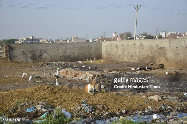 Dasna illegal slaughterhouse on March 27, 2016 in Ghaziabad, India. Traders in Uttar Pradesh started an indefinite strike on Monday to protest...