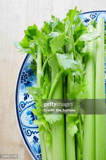 high angle view of fresh celery on plate - bleekselderij stockfoto's en -beelden