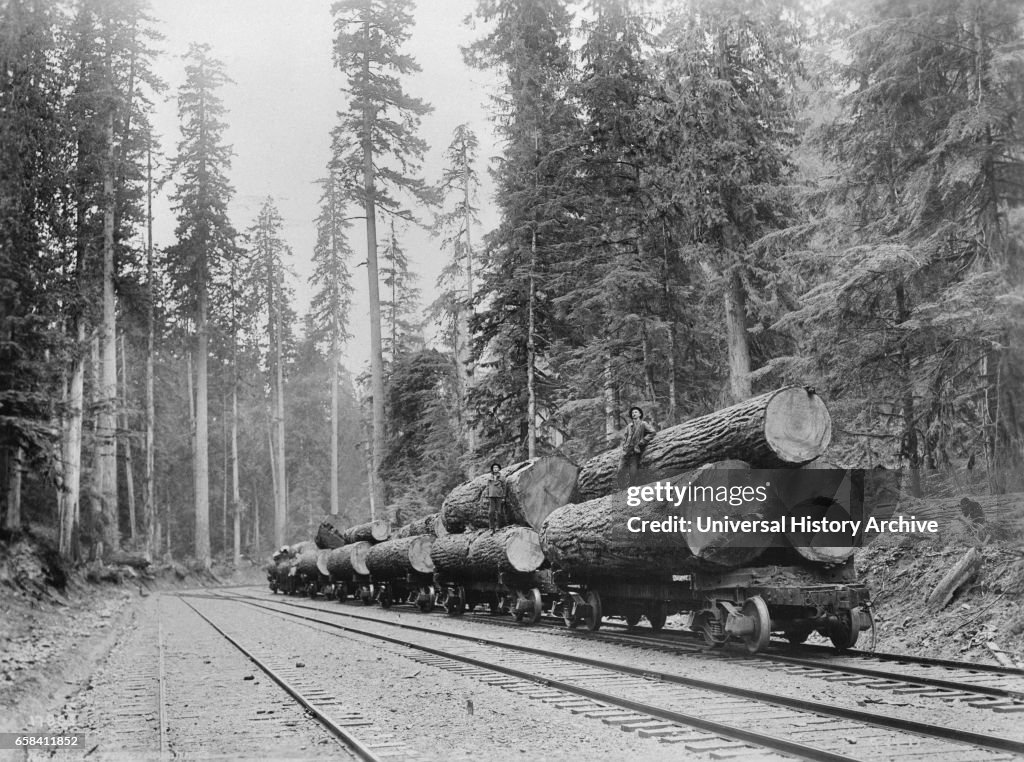 Log Train, Washington, USA, John D. Cress for Farm Security Administration, 1935