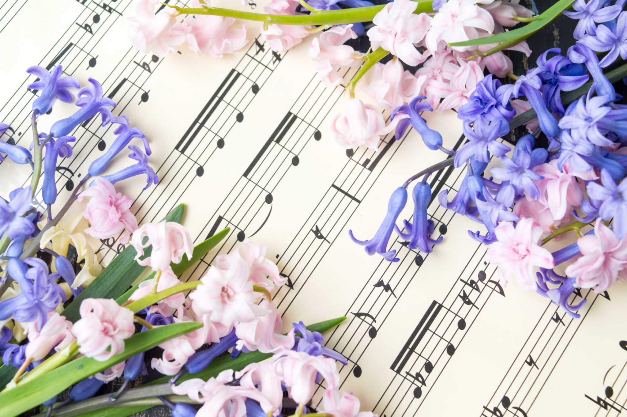 spring wedding music