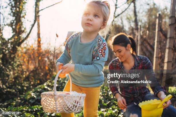 we love easter - easter egg hunt outside stock pictures, royalty-free photos & images