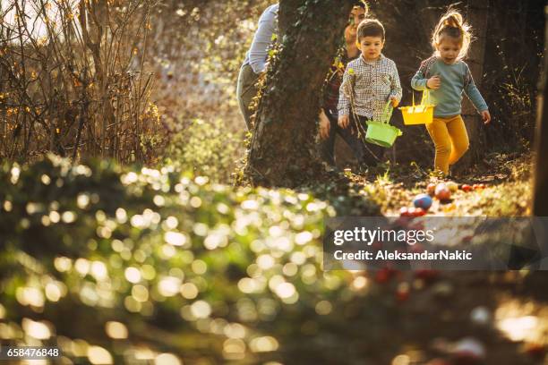 eieren zoeken met pasen in de natuur - pasen stockfoto's en -beelden