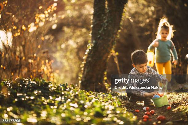 easter egg hunt in nature - pascoa imagens e fotografias de stock