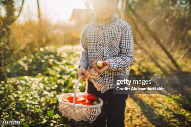 cute little boy on easter egg hunt - easter egg hunt outside stock pictures, royalty-free photos & images