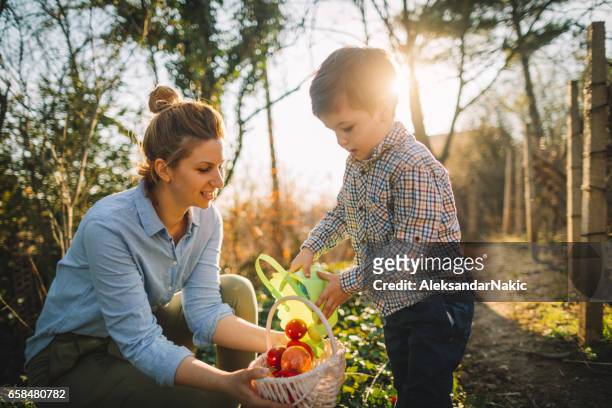 petit garçon et sa maman sur la chasse aux oeufs de pâques - famille pâques photos et images de collection