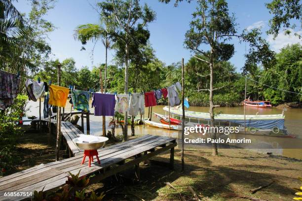 simple life in amazon,brazil - kleurenfoto stock-fotos und bilder