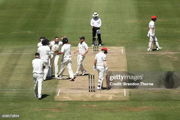 Jon Holland of the Bushrangers celebrates with team mates after claiming the wicket of Travis Head of the Redbacks during the Sheffield Shield final...