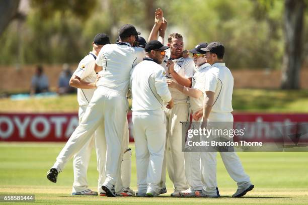 Jon Holland of the Bushrangers celebrates with team mates after claiming the wicket of Jake Lehmann of the Redbacks during the Sheffield Shield final...