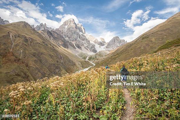 hiking in ushba, svaneti, georgia - georgia country 個照片及圖片檔