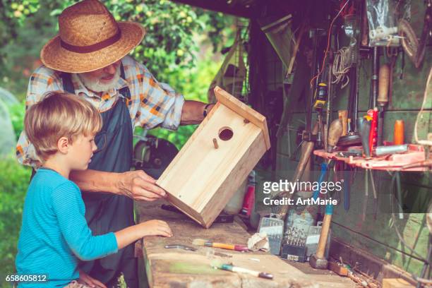 ältere mann und sein enkel machen vogelhaus - vogelhäuschen stock-fotos und bilder