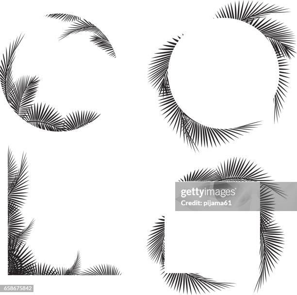 palm tree leaf frame silhouettes - palm leaves stock illustrations