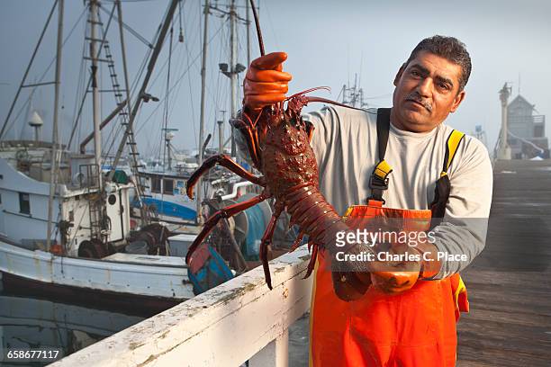 fisherman holding large lobster - lobster photos et images de collection