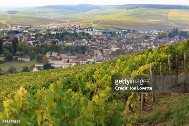 burgundy village chablis - yonne fotografías e imágenes de stock
