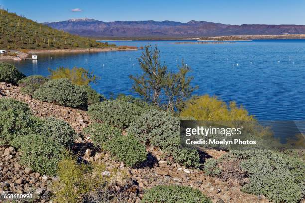 lake pleasant on a clear day - peoria arizona stock-fotos und bilder