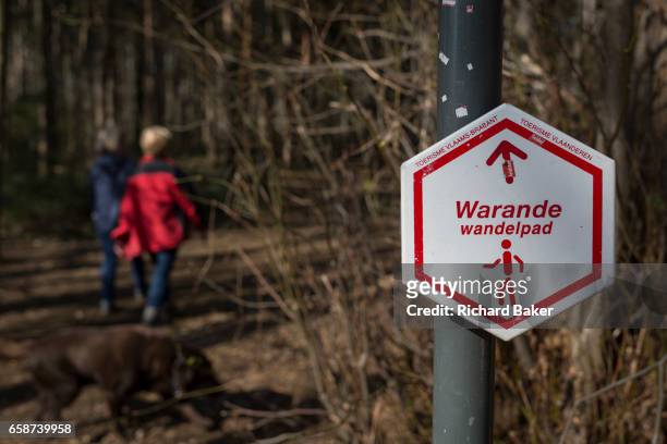 Walkers in woods that form part of the Foret de Soignes, on 25th March, in Everberg, Belgium. Forêt de Soignes or Sonian Wood is a 4,421-hectare...