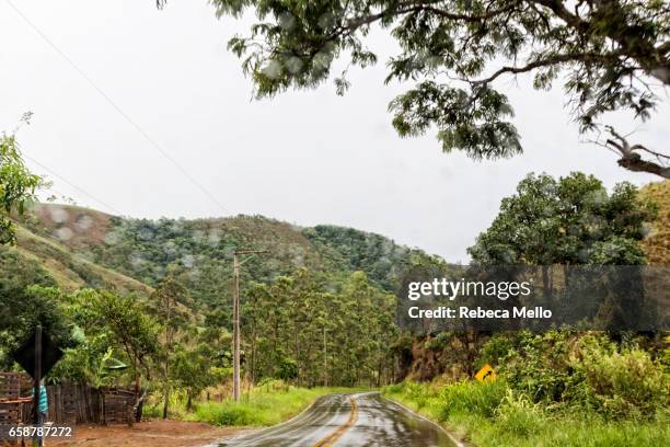 rain drops are in the car window - car pet barrier stock pictures, royalty-free photos & images