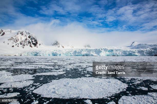 sea ice along a glaciated coast - svalbard stock pictures, royalty-free photos & images