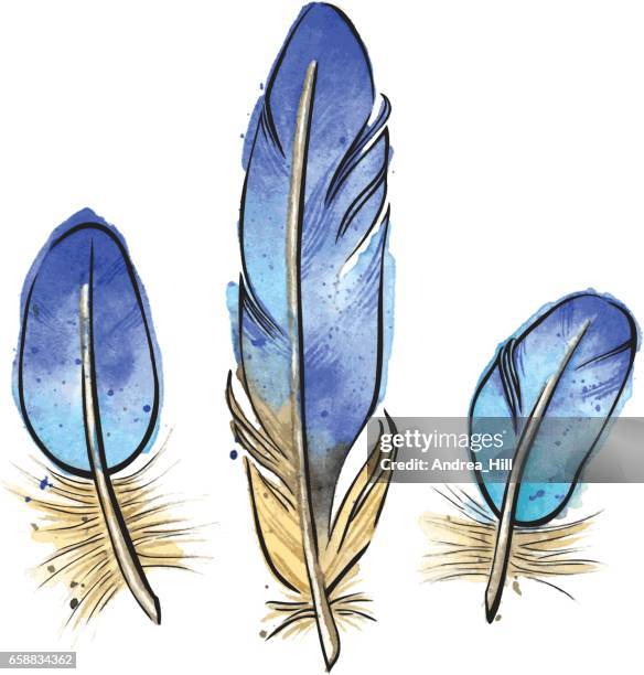 vector watercolor bluebird feathers - feathers isolated stock illustrations
