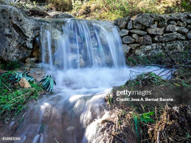 birth of a river of water mountain cleans, that appears from a hole in a rock with roots and moss in the nature - cuestiones ambientales photos et images de collection