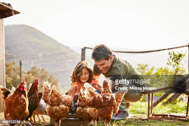 happy father and daughter feeding hens at farm - gallina foto e immagini stock