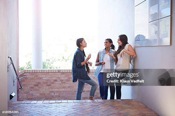 female students having discussion on staircase - asian college girls fotografías e imágenes de stock