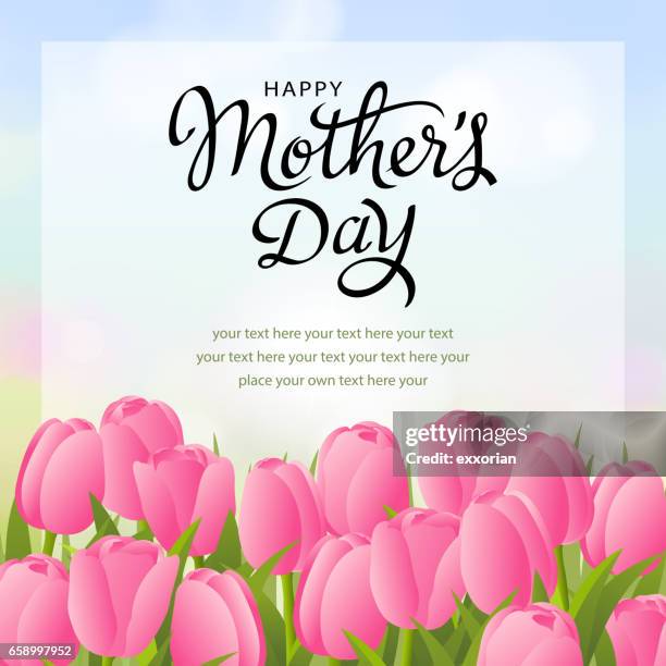 mother's day tulips - single flower in field stock illustrations
