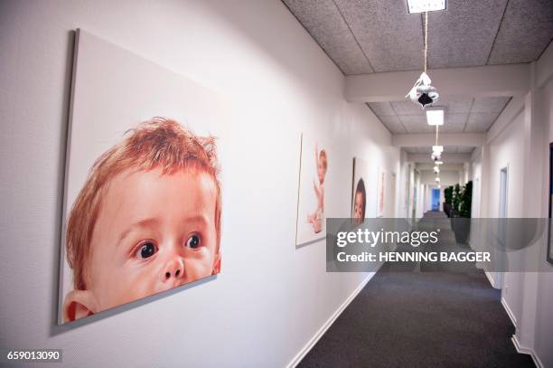 Photo illustration of Cryos, the biggest sperm bank worldwide, taken December 15 in Aarhus. / AFP PHOTO / Henning Bagger