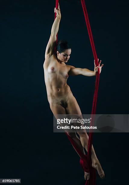 full length front view of nude aerial dancer with red silk ropes - pube 個照片及圖片檔