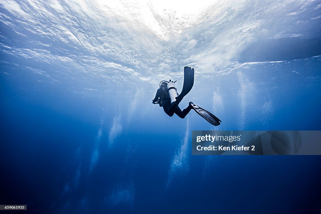 Scuba diver in Cancun, Mexico