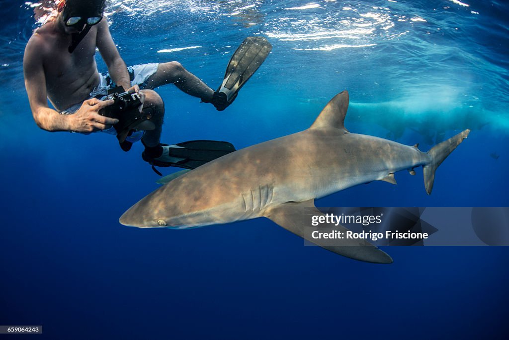 Snorkeler photographing a silky shark (Carcharhinus falciformis), Roca Partida, Colima, Mexico