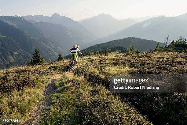 rear view of mountain biker riding on uphill, zillertal, tyrol, austria - bergauf stock-fotos und bilder