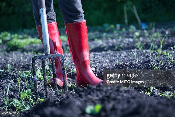 low section of woman standing with pitchfork, bavaria, germany - protective footwear stock pictures, royalty-free photos & images