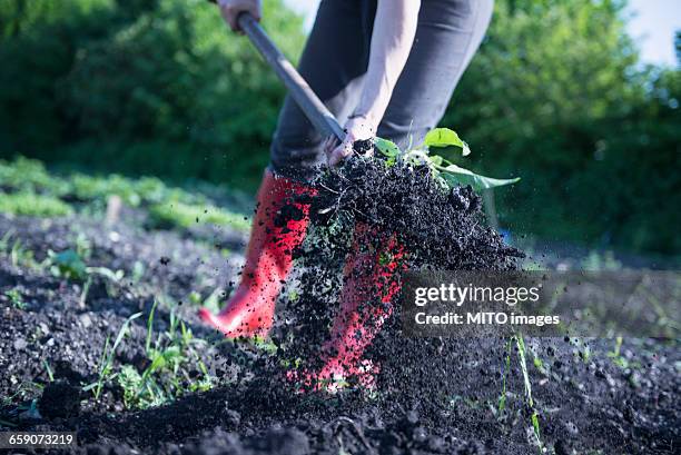 low section of woman using pitchfork, bavaria, germany - protective footwear stock pictures, royalty-free photos & images