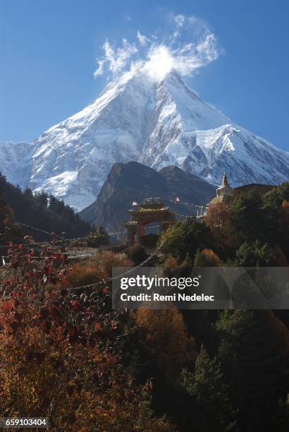 lho monastery - ciel sans nuage 個照片及圖片檔