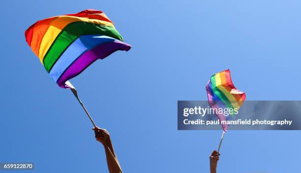 waving rainbow flags - stolz stock-fotos und bilder