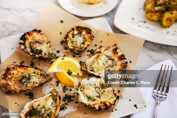 charbroiled oysters on the half shell - oyster shell - fotografias e filmes do acervo