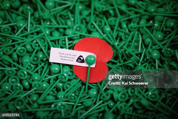 Lone poppy sits amongst a box of stems at the Royal New Zealand Returned and Services' Association Poppy Factory on March 27, 2017 in Christchurch,...