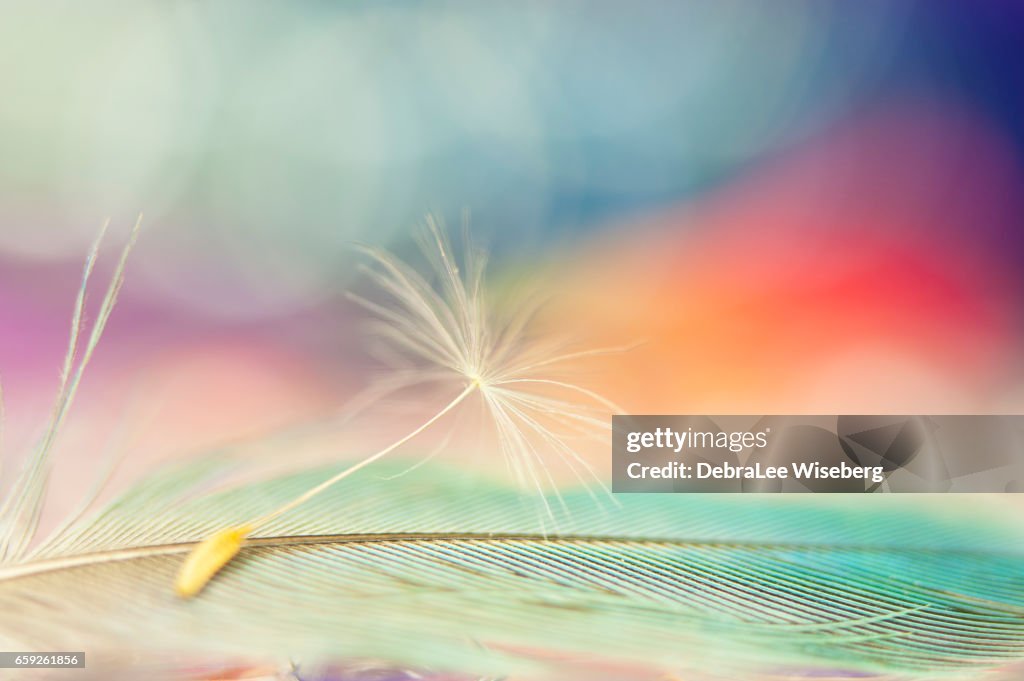 Feather Top Bed