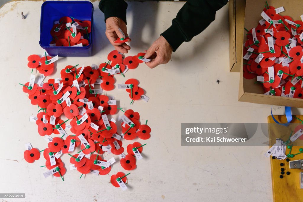 RSA Volunteers Make More Than A Million Poppies In Preparation For Poppy Day 2017