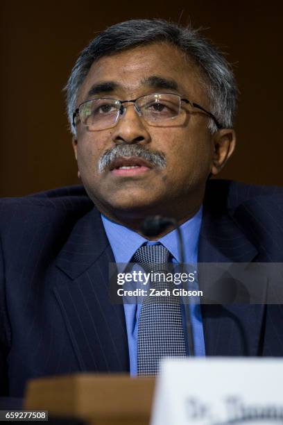 Oak Ridge National Laboratory Director for Science and Technology Thomas Zacharia speaks during a Senate Energy Subcommittee hearing discussing...