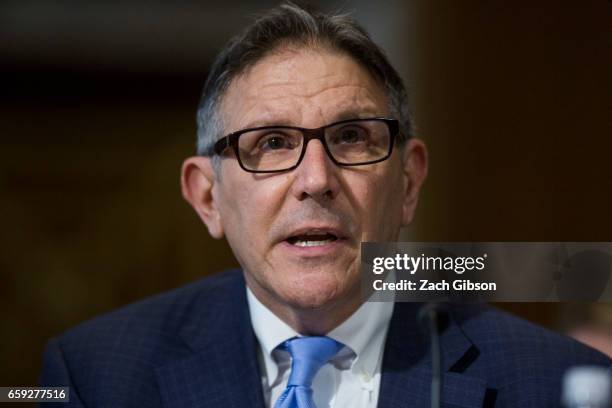 Large Public Power Council John DiStasio testifies during a Senate Energy Subcommittee hearing discussing cybersecurity threats to the U.S....