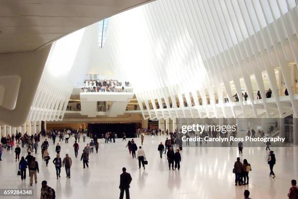 fulton center - carolyn ross stockfoto's en -beelden