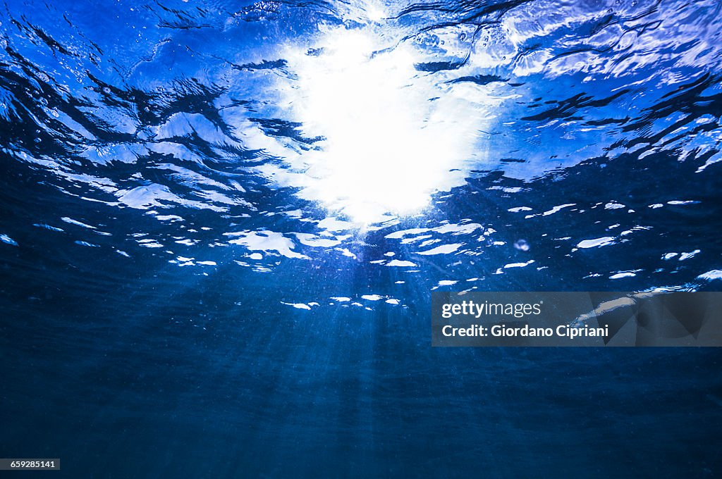 The underwater world of Maldives.