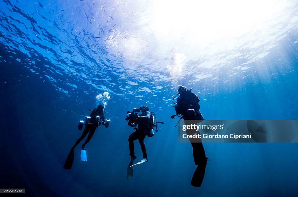 The underwater world of Maldives.
