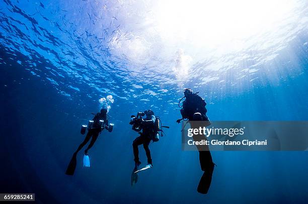 the underwater world of maldives. - diving equipment stock pictures, royalty-free photos & images