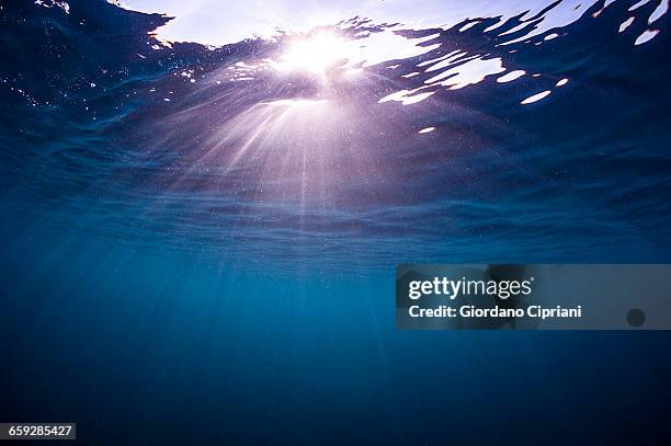 the underwater world of maldives. - light natural phenomenon stock-fotos und bilder